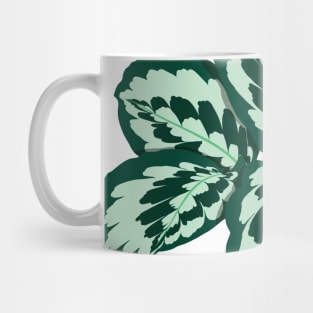 Calathea Kennedy Mug